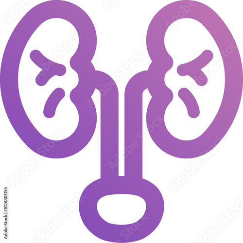 Kidney