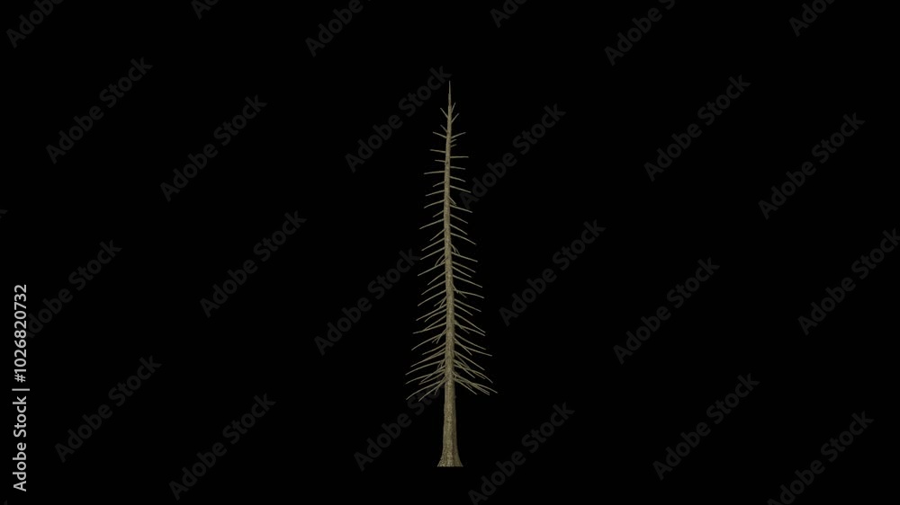 3d growing tree on an alpha channel 3d growing tree on an alpha channel