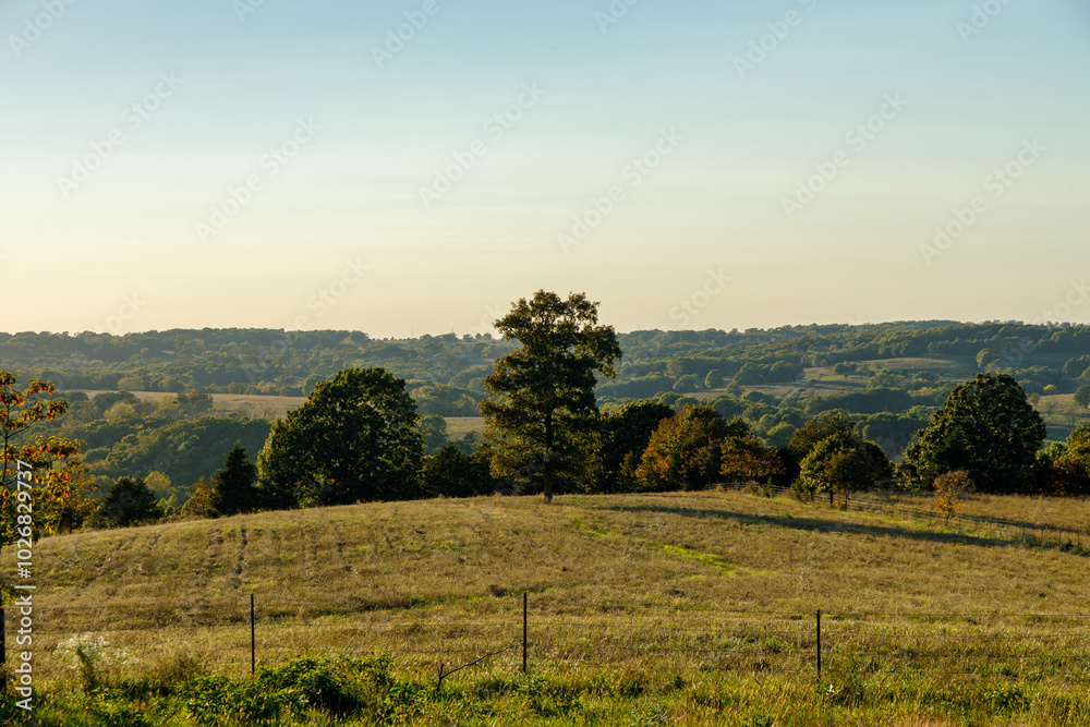Fototapeta premium wide angle photo of hillside and fields with trees in the late afternoon