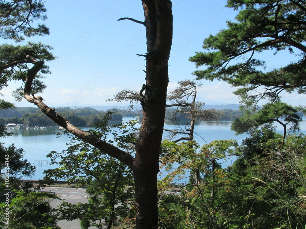 Fototapeta premium 大高森からの松島