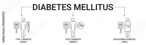 Diabetes Mellitus types banner with type 1, type 2, gestational diabetes icon concept vector illustration