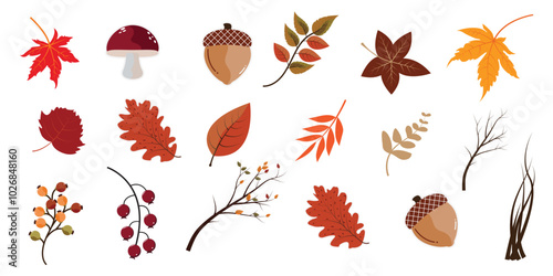 autumn leaves background natural color november season 