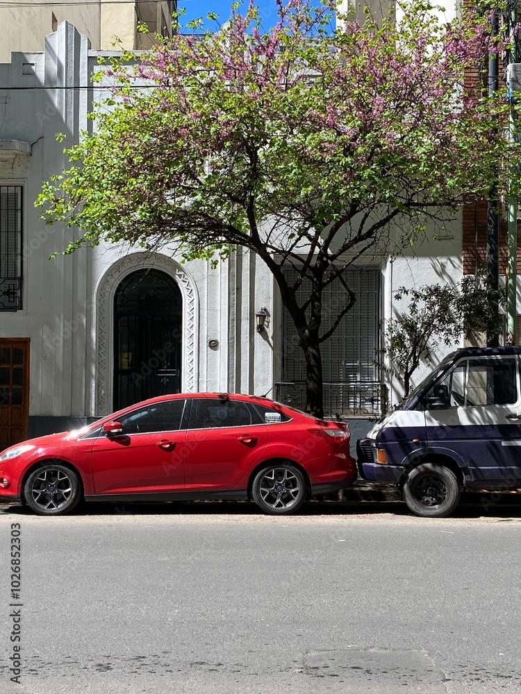 building with beautiful architecture in Buenos Aires in Argentina. known for its eclectic style architecture and bustling city life.