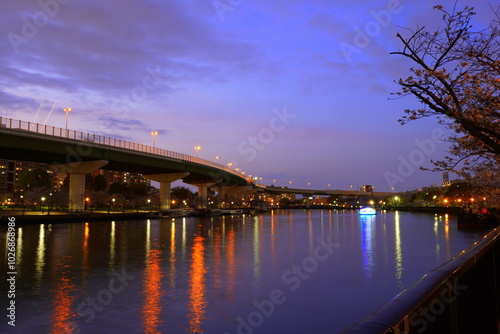 Wallpaper Mural 大川　夜景 Torontodigital.ca