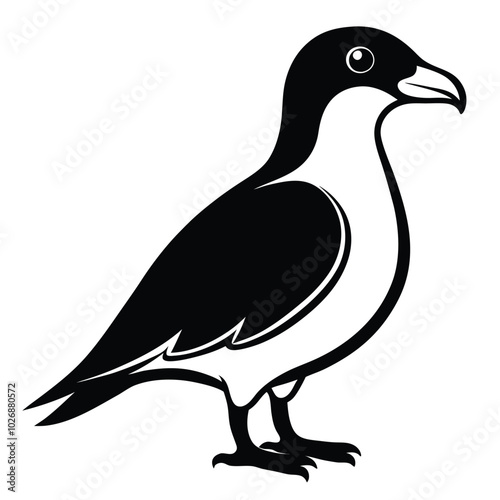 Solid color skua animal vector design