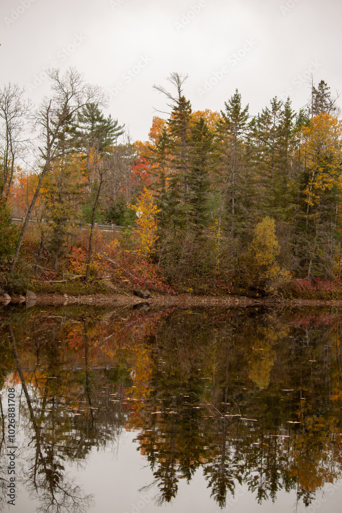 Fototapeta premium autumn forest reflected in the lake