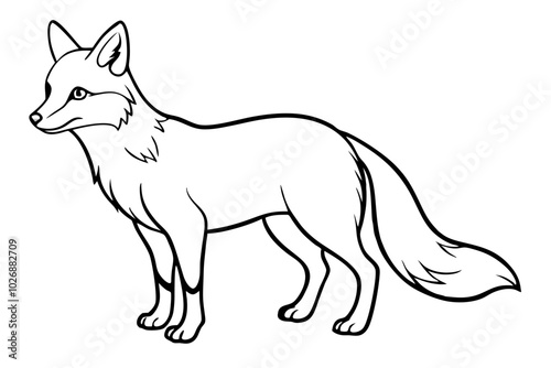 vector illustration of wolf