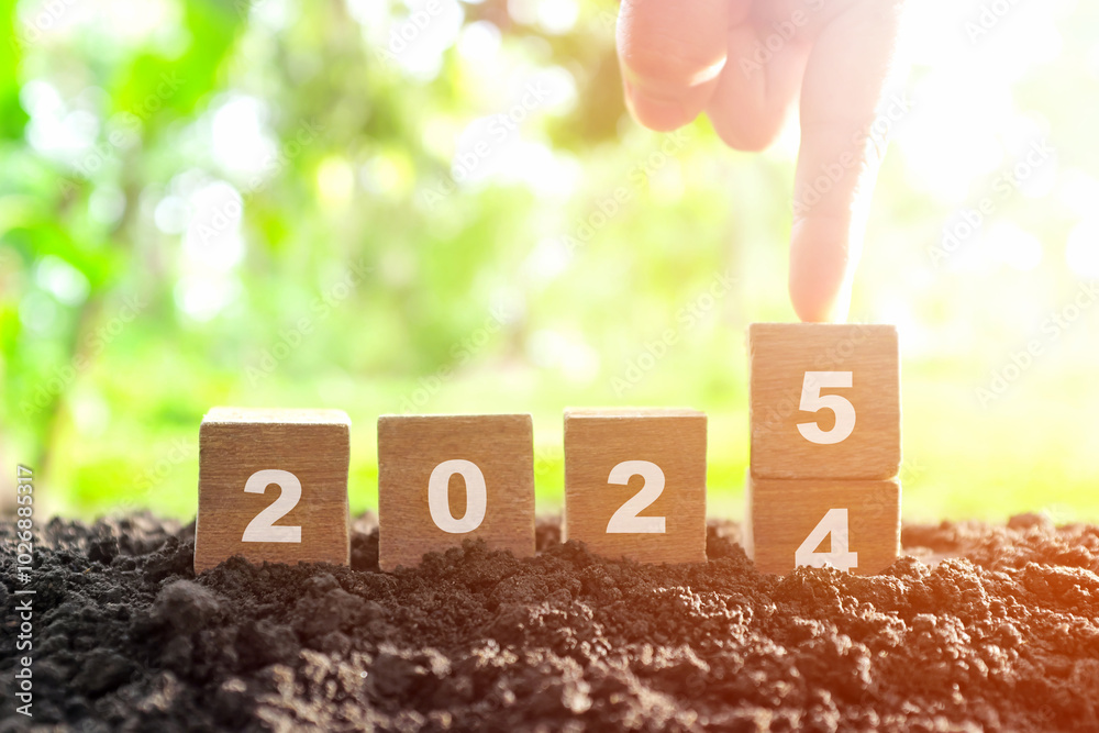 Hand changing year 2024 to 2025 in wooden blocks with growing plant at sunrise. Welcome new year 2025 and goodbye 2024 concept.