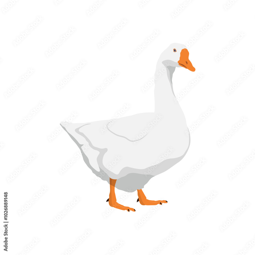 Vector illustration of white goose in cartoon flat style. Cute goose or geese domestic bird for logo and illustration resources. Bird icon and symbol in white background. Domestic farming Vector illustration of white goose in cartoon flat style. Cute goose or geese domestic bird for logo and illustration resources. Bird icon and symbol in white background. Domestic farming
