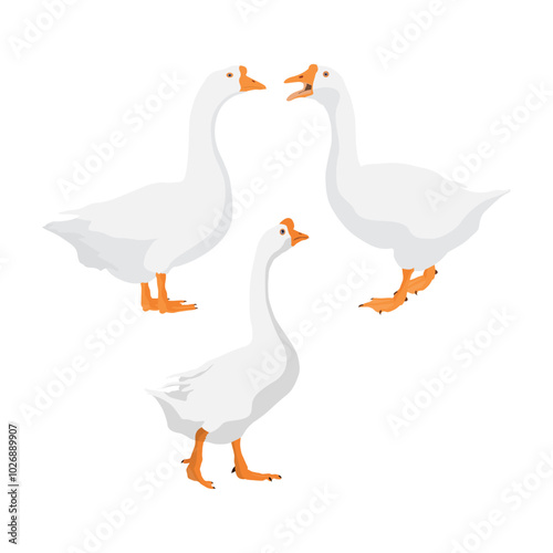 Vector illustration set of white goose in cartoon flat style.  Cute goose or geese domestic bird for logo and illustration resources. Bird icon. Animal pet farming domestic.