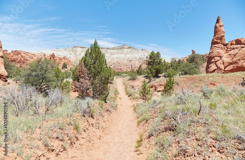 Hiking in Utah's Kodachrome Basin State Park photo