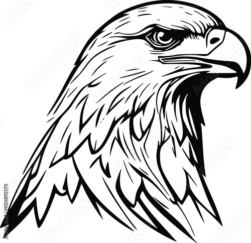 eagle head vector
