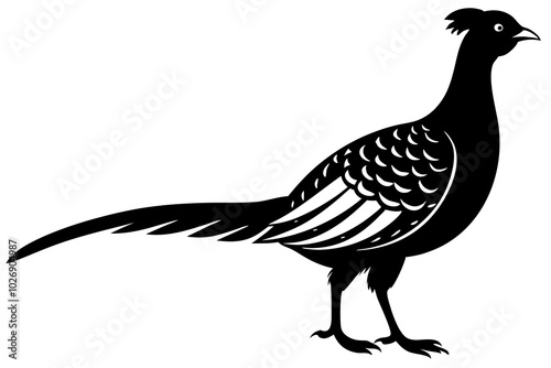 Pheasant silhouette | vector silhouette illustration on white background