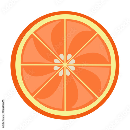 Orange fruit slices illustration. Flat vector illustration of orange slices