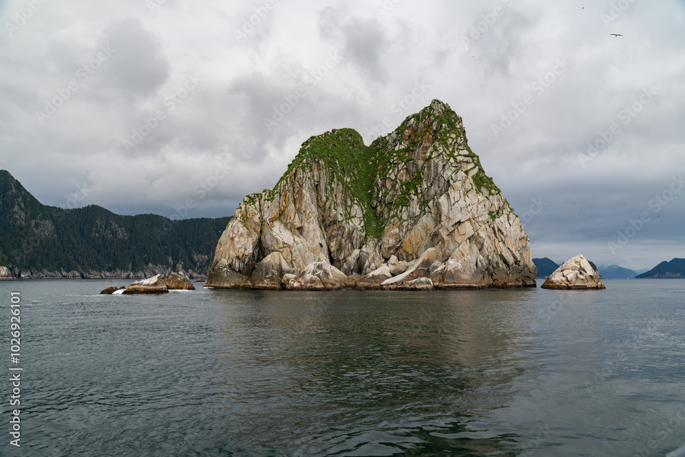 Fototapeta premium Rocky island with birds and seals in the Gulf of Alaska within Kenai Fjords National Park near Seward, Alaska 