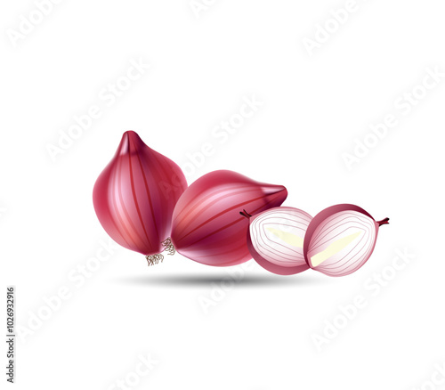 Onion bulb and chopped slices isolated vector on white backgrounds