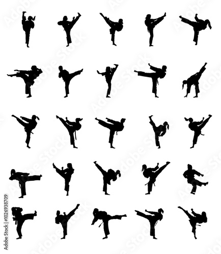 Vector silhouette set of 25 female taekwondo poses