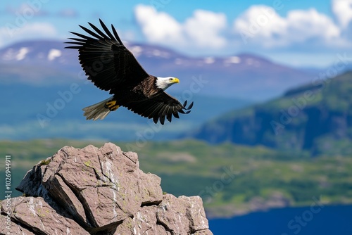 Simple silhouette of an eagle soaring above a mountain, with sharp lines and minimal details, capturing the grace and power of the predator in flight photo