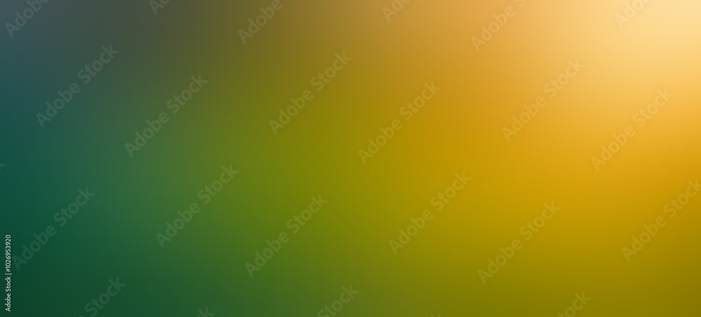 Soft sunlight on green empty background wide format. Soft sunlight on green empty background wide format.