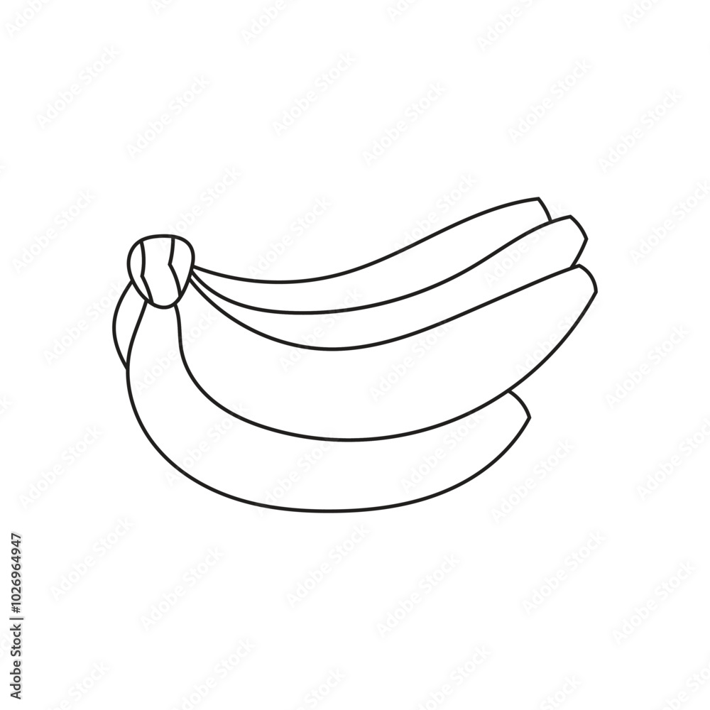 Illustration banana line sketch with blank background Illustration banana line sketch with blank background
