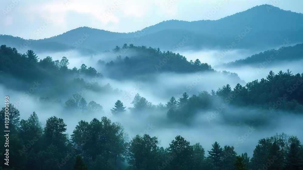 Misty Mountains with Fog in Tranquil Landscape
