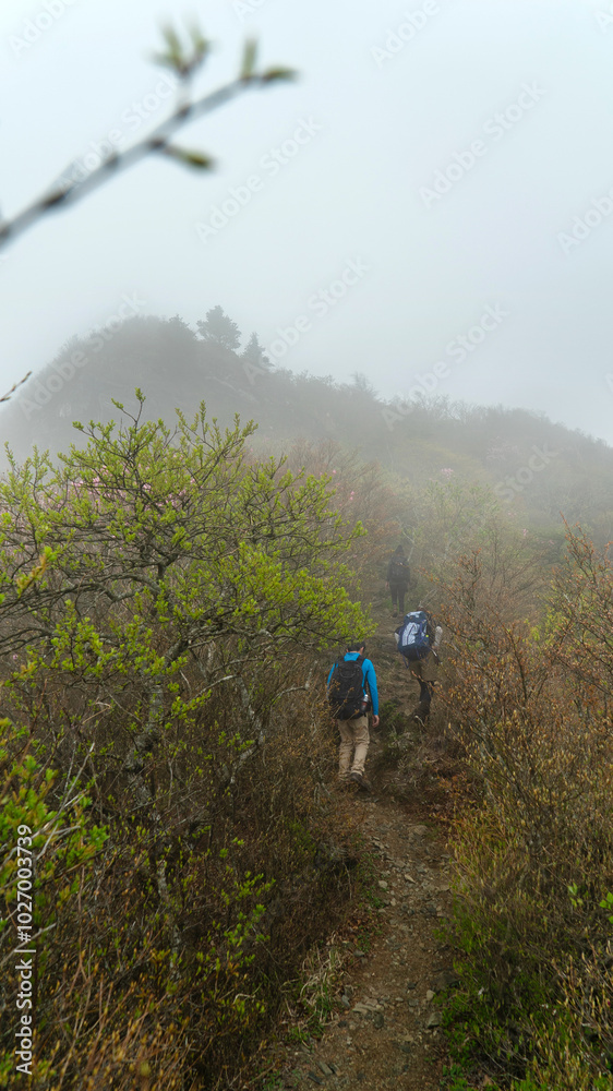 Obraz premium 東赤石山へと続く登山道