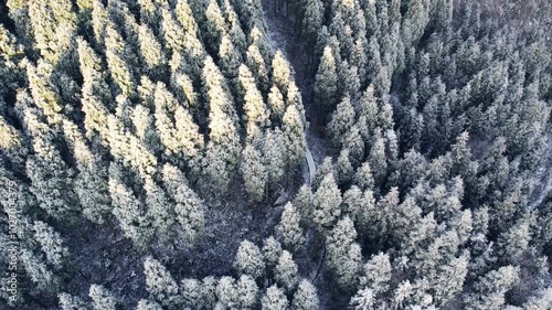 Aerial photography of forests in Pengzhou, Sichuan, China after heavy snowfall