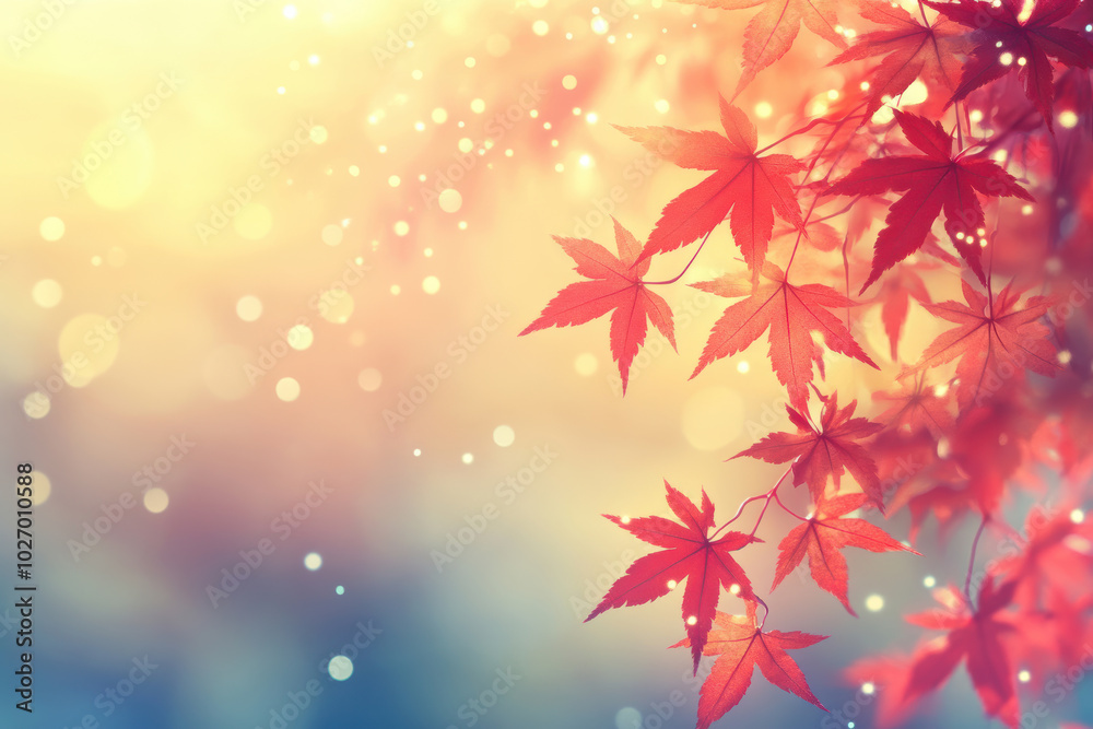 Red maple leaves in autumn sunlight Red maple leaves in autumn sunlight