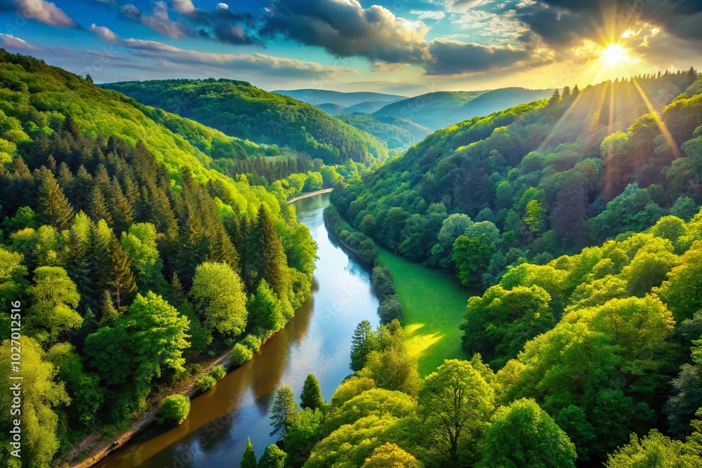 Serene Forest Along the Moselle River - Nature's Tranquility Serene Forest Along the Moselle River - Nature's Tranquility