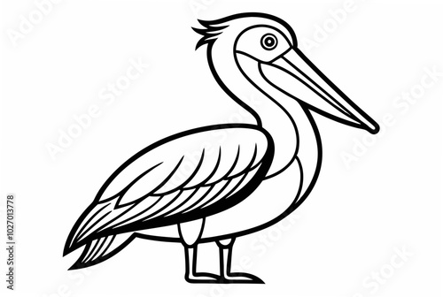 Coloring book page, Pelican black and white outline vector illustration