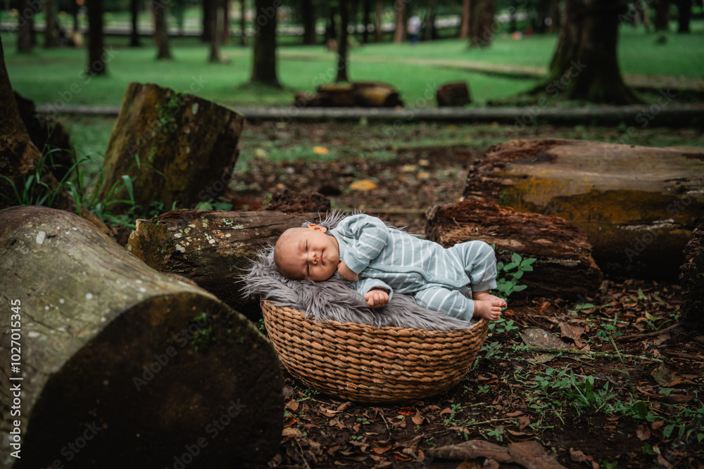 A peaceful baby gently rests in a woven basket that is surrounded by beautiful lush greenery A peaceful baby gently rests in a woven basket that is surrounded by beautiful lush greenery