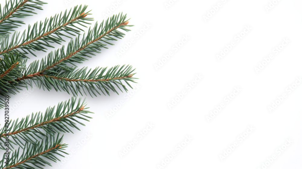 Winter-themed pine branch frame with blank space for seasonal text and design Winter-themed pine branch frame with blank space for seasonal text and design
