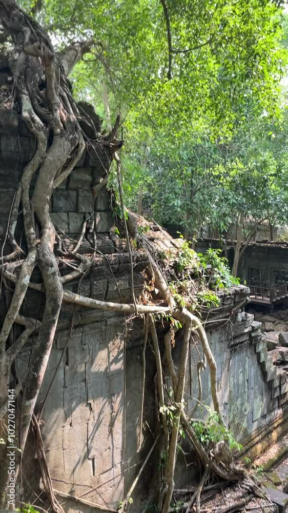 Beng Mealea, Cambodian Ruins , Siem Reap, Cambodia Beng Mealea, Cambodian Ruins , Siem Reap, Cambodia