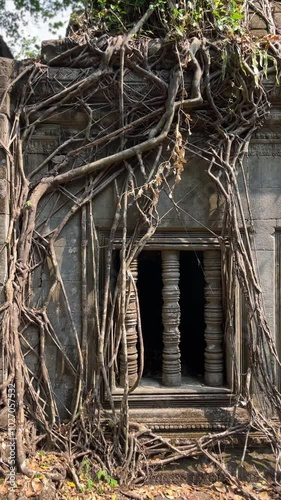 Beng Mealea, Cambodian Ruins , Siem Reap, Cambodia