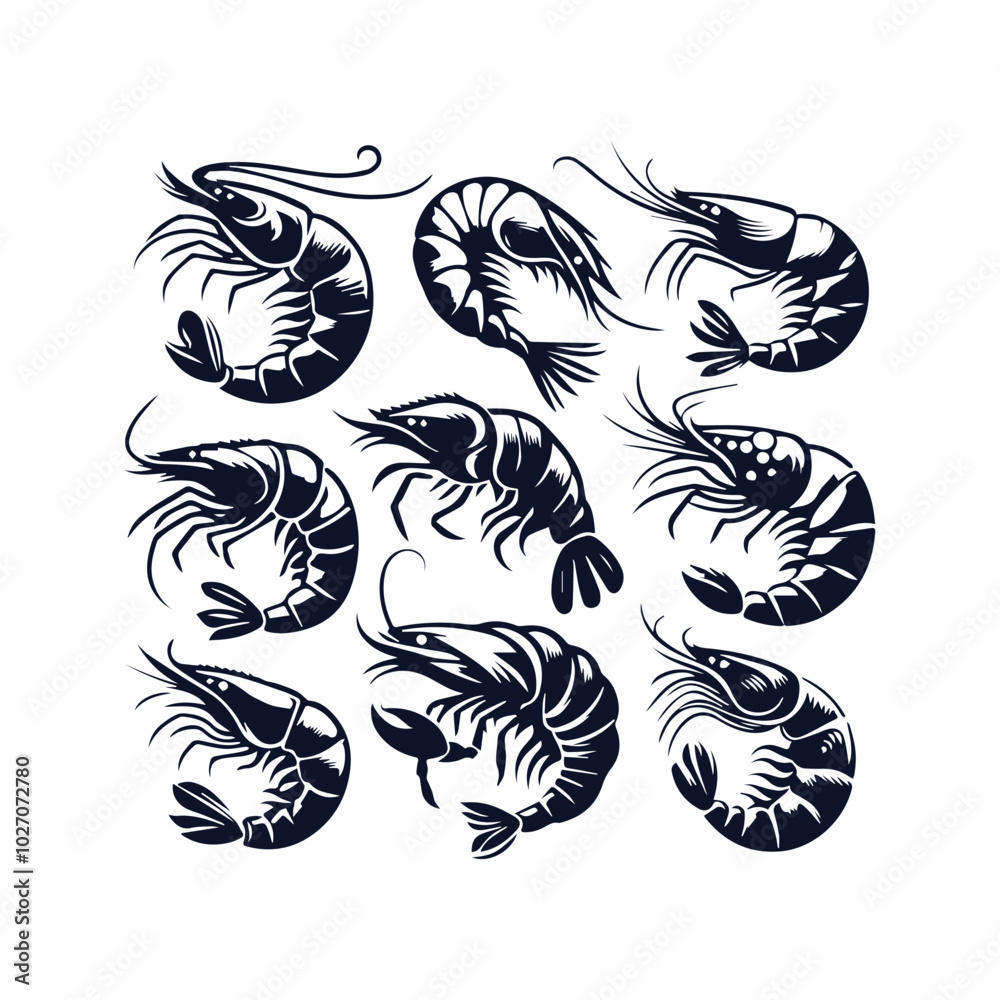 Shrimp Vector Design templates Shrimp Vector Design templates