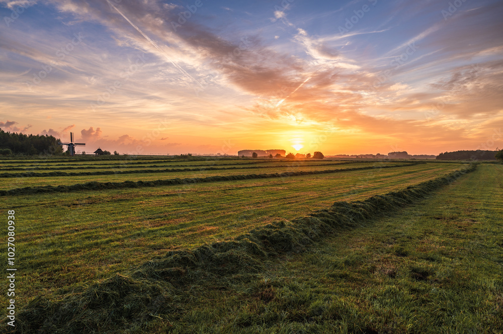 Fototapeta premium Ostfriesland