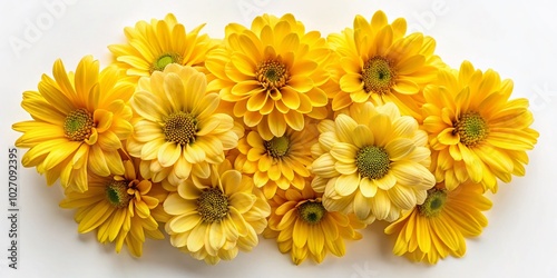 Wallpaper Mural Vibrant Yellow Flowers Isolated on a Crisp White Background for Stunning Landscape Photography Torontodigital.ca