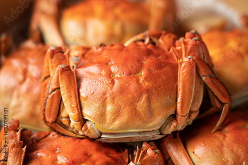 Delicious steamed hairy Crabs  in bamboo steamer. photo