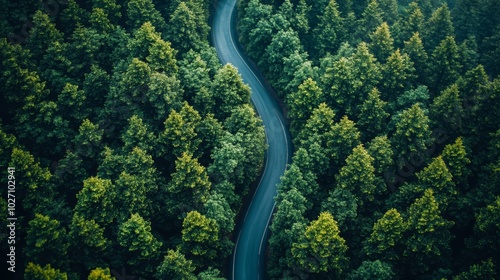 Aerial view of a sustainable infrastructure project, showcasing a road winding through a lush green forest, emphasizing eco-friendly development Generative AI