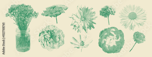 Set of retro photocopy flowers. Rose, chamomile, meadow flower, clover, cornflower. Vintage halftone stipple effect.