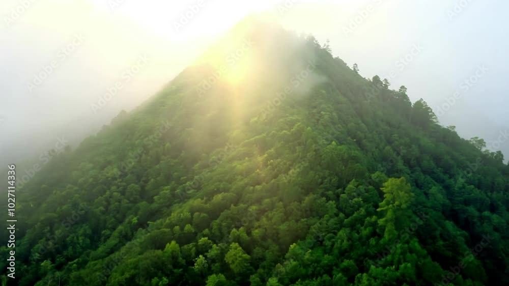 A beautiful green mountain emerging from the fog. Generative AI A beautiful green mountain emerging from the fog. Generative AI