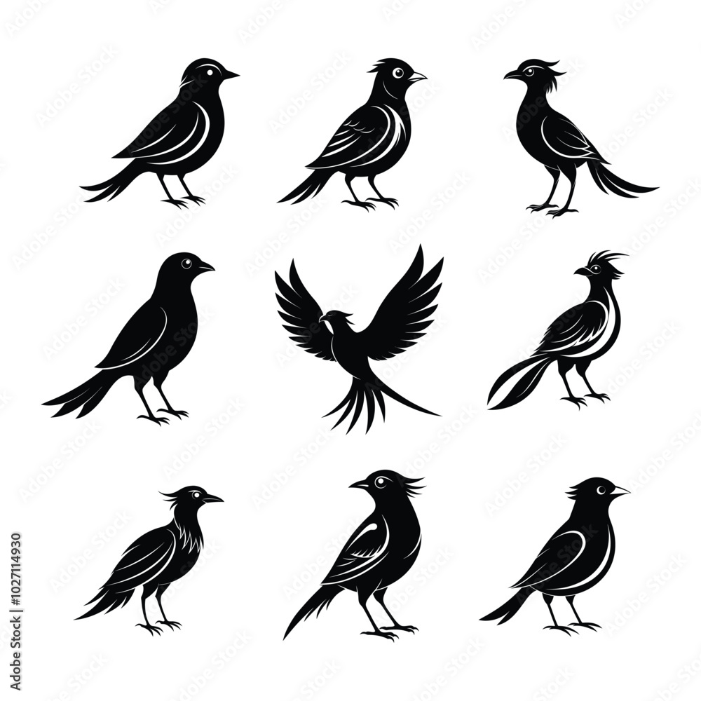 A set of black and white birds vector icon A set of black and white birds vector icon