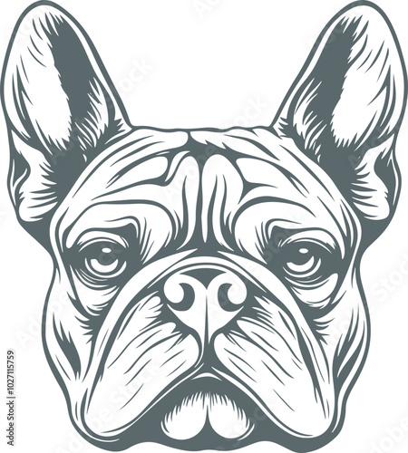 Bulldog face drawing clipart design illustration