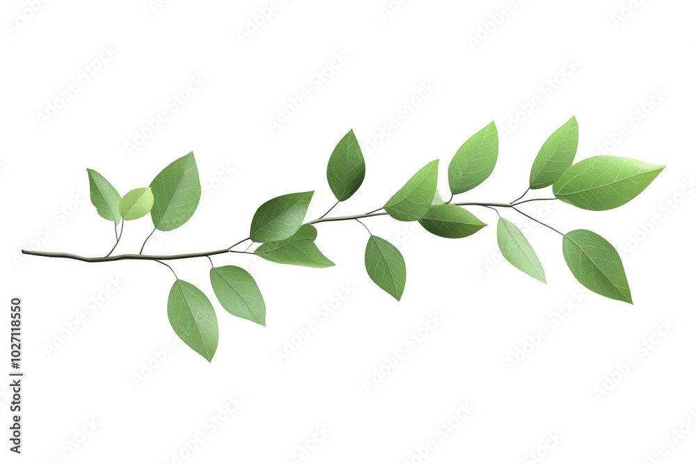 Green Leaves on a Branch Green Leaves on a Branch