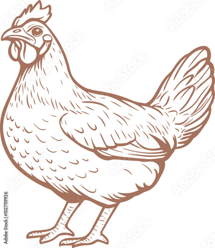 Chicken drawing clipart design illustration