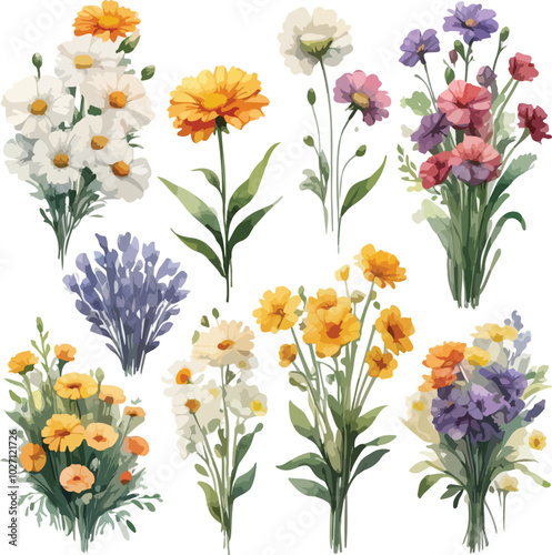 A collection Set of beautiful blooming wild flowers from the garden botanical char