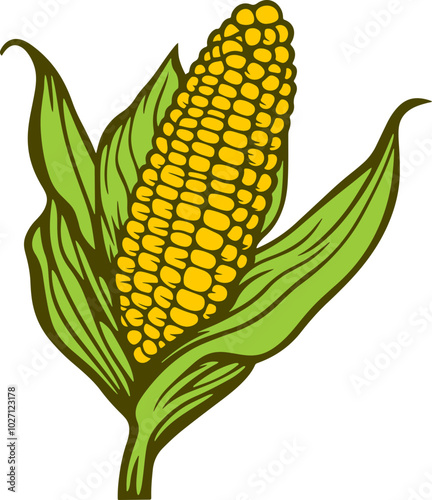 Corn cob drawing clipart design illustration