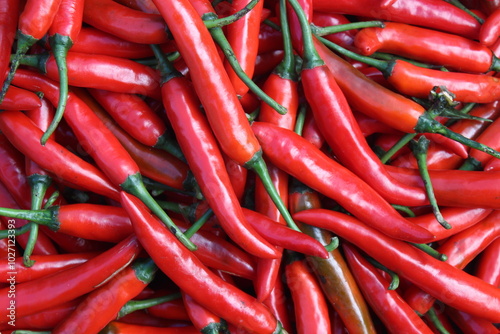 Fototapeta Naklejka Na Ścianę i Meble -  Top view of fresh red chilis. Known as cabe merah keriting to Indonesian. Red chili texture background.