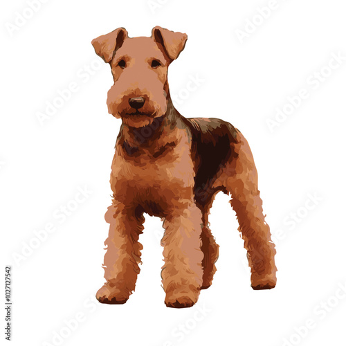 Airedale Terrier Standing Watercolor vector Illustration on transparent background, Close up of an airedale terrier standing pose looking front , Watercolor logo silhouettes of Dog 