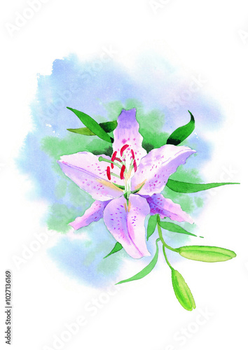 Flowers watecolor drawing, flower over white background painting photo